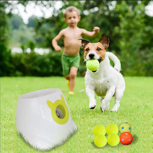 Dog Toy Auto Ball Launcher